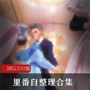 里番合集38G超级大礼包动画100部太感觉了