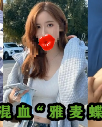 91Z先生绝版视频合集24部2.21G优质