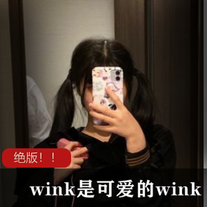 wink推特合集22部587G超丰满