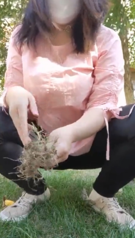 快手柏欣彤蜜桃臀广场舞合集57G88部熟女天菜